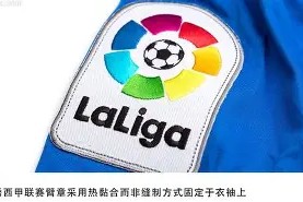 今年会官网入口-赫塔菲主场失利，疲态明显遭遇对手爆发