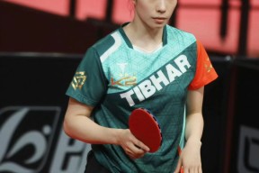 今年会网页版入口-势均力敌，谁将在比赛中脱颖而出？