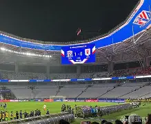 包含上海绿地申花逆袭赢得山东鲁能,实力出众引发激战的词条 包含上海绿地申花逆袭赢得山东鲁能,实力出众引发激战的词条